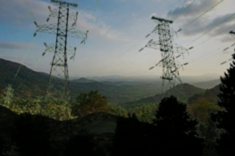 Goa State Board of Wildlife Grants In-Principle Approval for Goa Tamnar Power Transmission Line through Mollem Wildlife Sanctuary