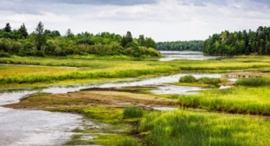 Goa State Wetland Authority Identifies and Safeguards 550 Potential Wetlands 1 Goa State Wetland Authority Identifies and Safeguards 550 Potential Wetlands