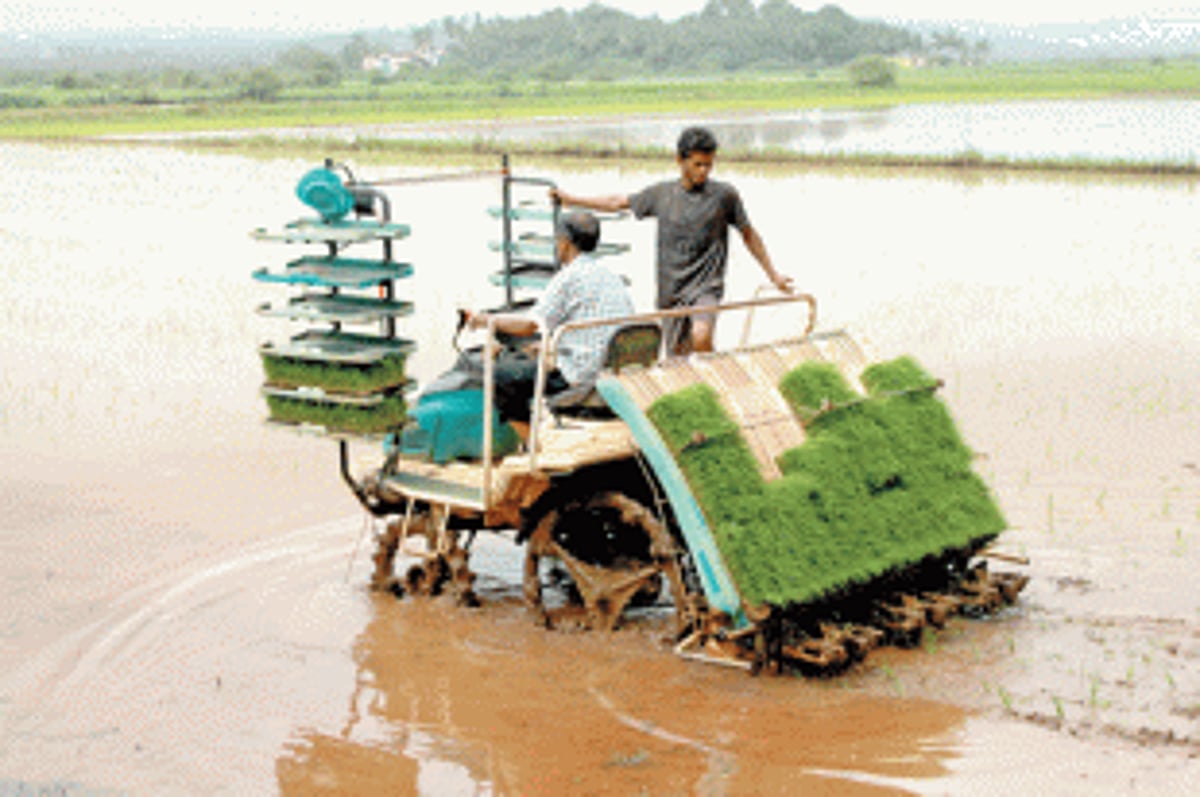 Goa agriculture ensures delivery from farm to fork with 7% contribution to State’s GDP