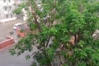 Goa experiences unseasonal rainfall; IMD issues yellow alert