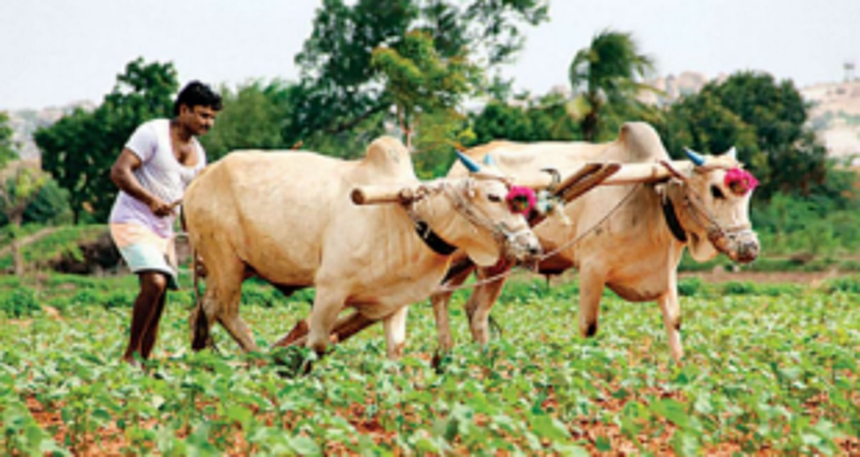 Goa farmers’ income will be double by 2024 claims Director of Agriculture