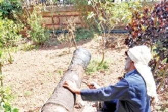 Goa first state to use micro air abrasion  to clean ‘Archaeological Antiquities’