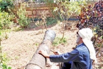 Goa first state to use micro air abrasion  to clean ‘Archaeological Antiquities’