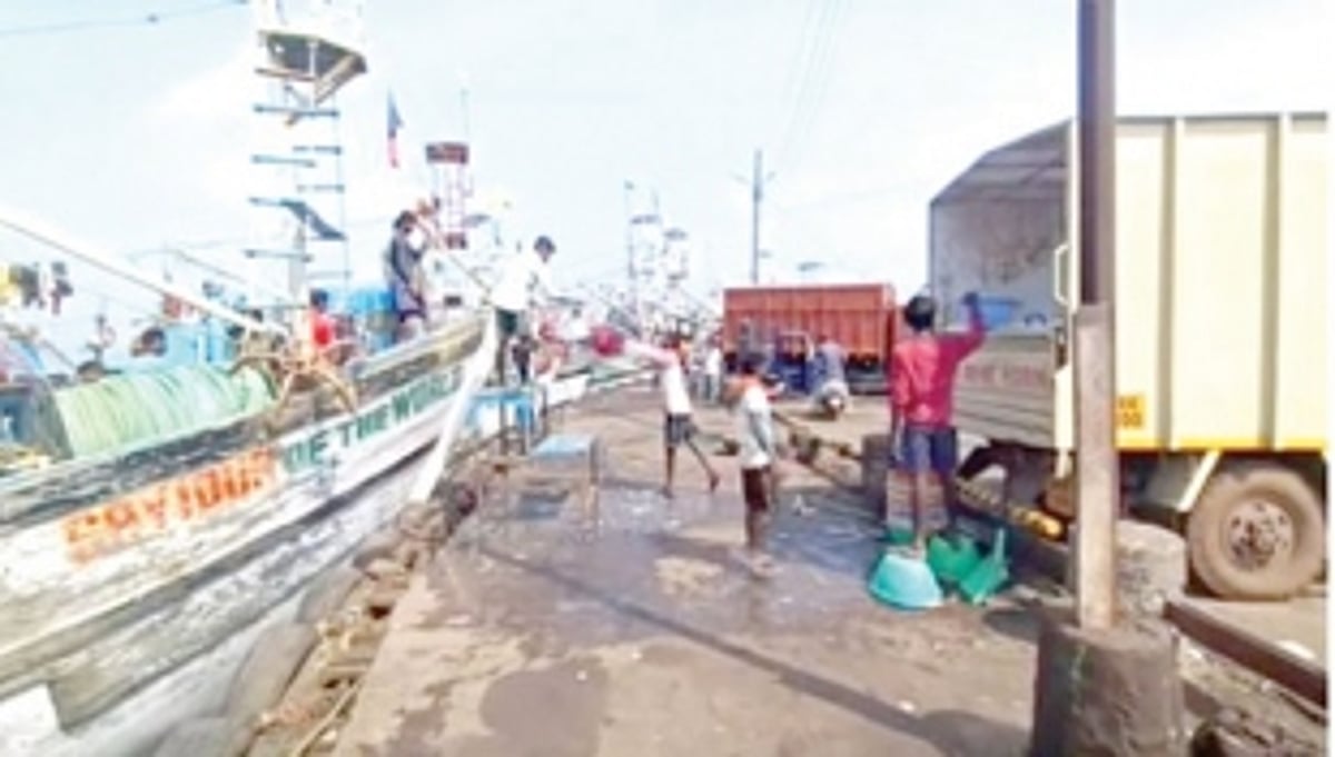 Goa fishermen uncertain about jetties, say livelihood at risk after Major Port Authority implementation