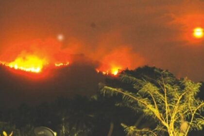 Goa government refuses Inquiry Commission to probe forest fires