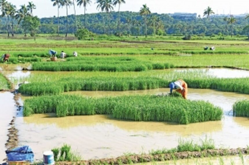 Goa in dire need of Agriculture Policy 1 Goa in dire need of Agriculture Policy