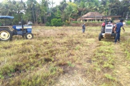 Goa is riding the brown rice revolution