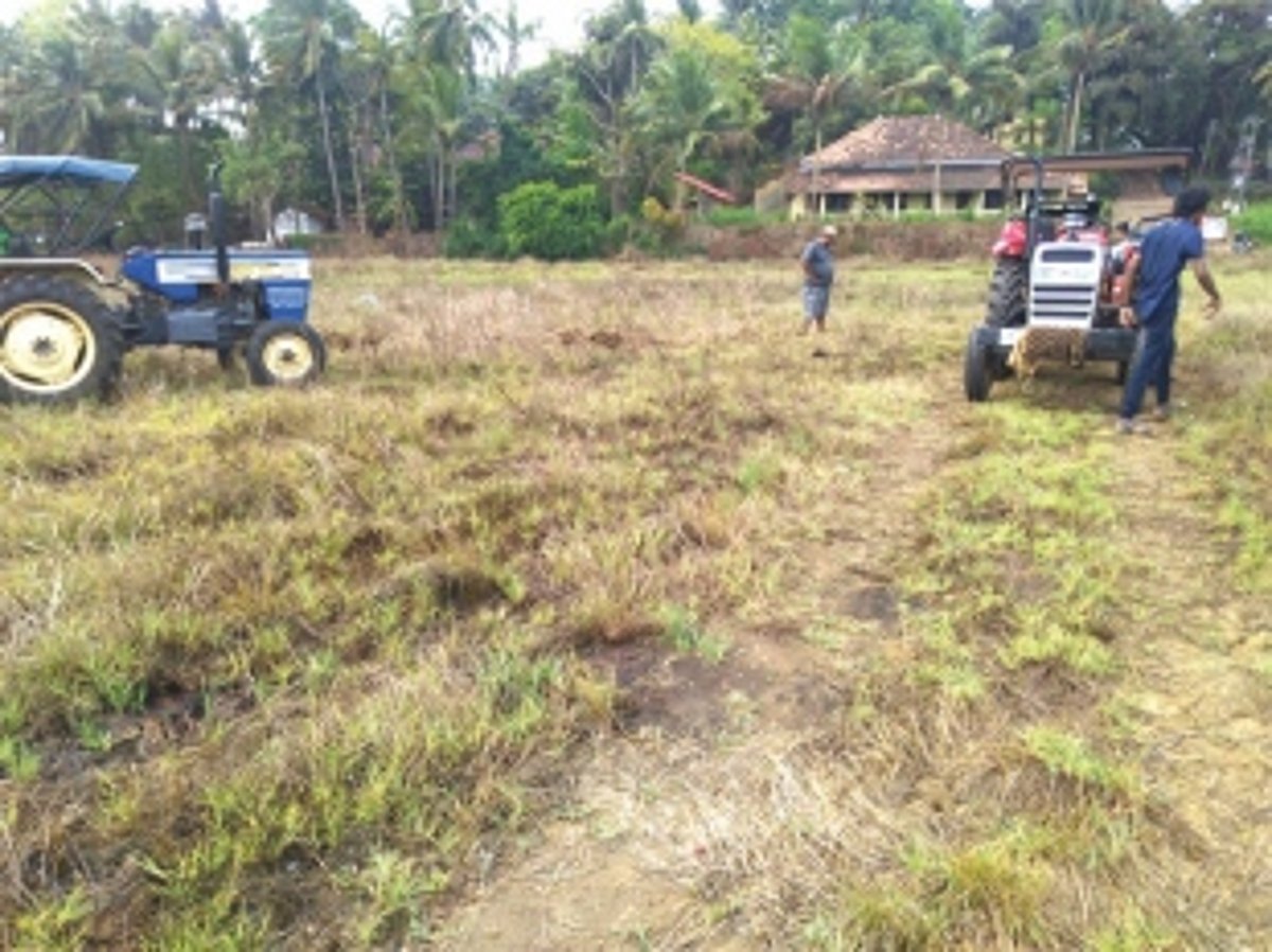 Goa is riding the brown rice revolution