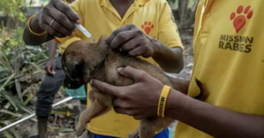 Goa is ‘Rabies Controlled State’