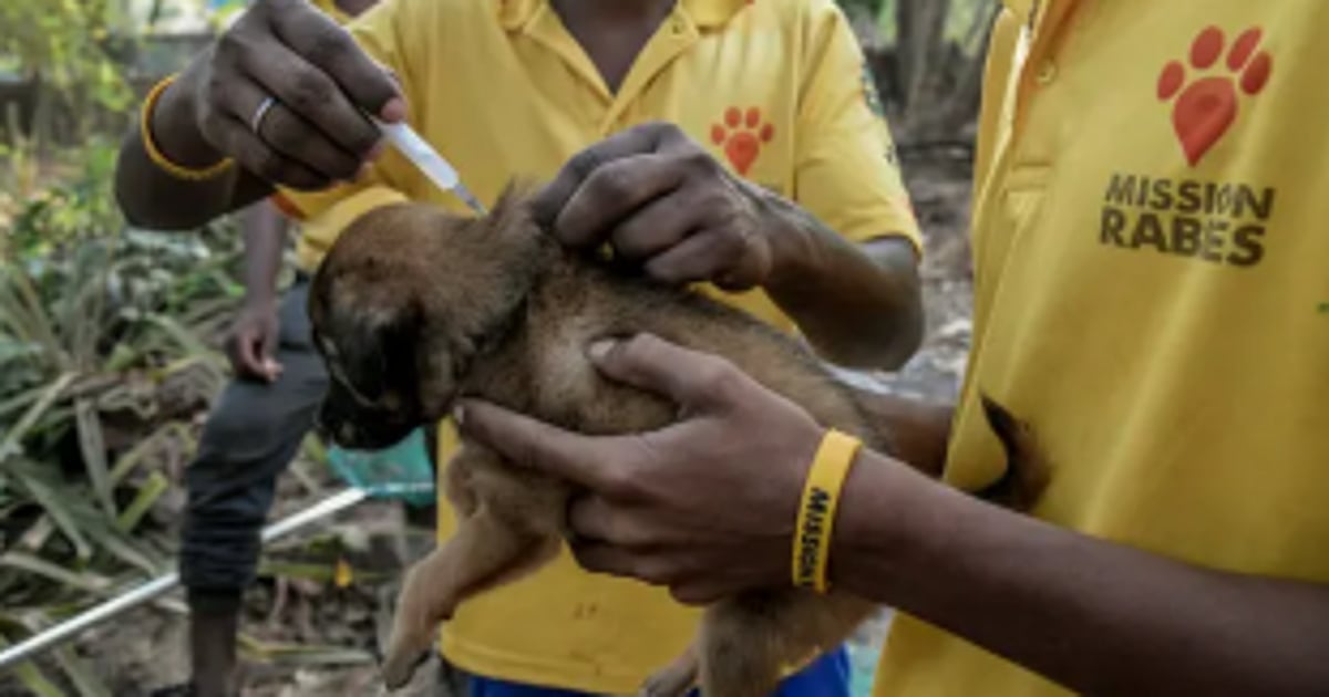 Goa is ‘Rabies Controlled State’