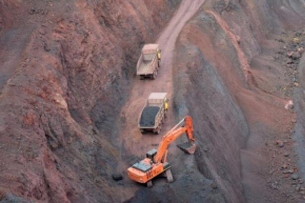 Goa mining body opposes export
duty on low-grade iron ore