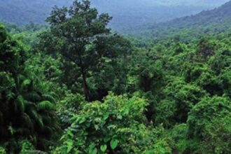 Goa misses Centre’s all-important deadline to demarcate, digitise forest borders