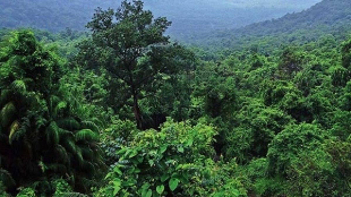 Goa misses Centre’s all-important deadline to demarcate, digitise forest borders