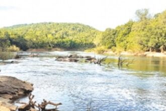 Goa nails Karnataka untruths on Mhadei