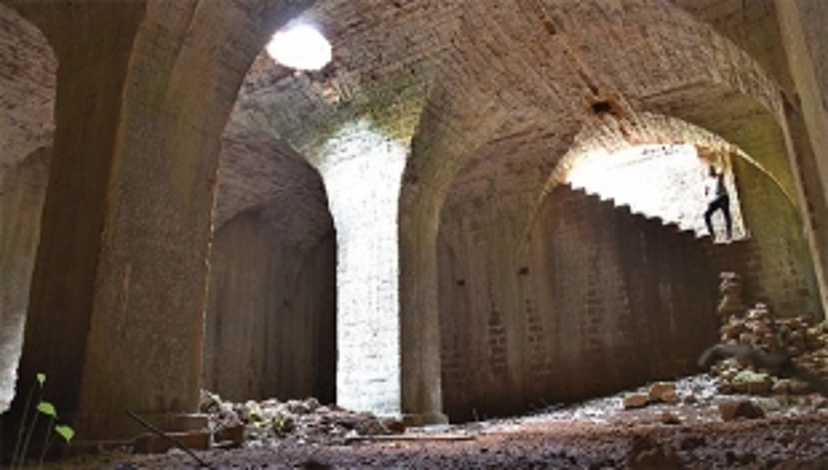 Goa needs good tourists. How about Goans themselves?