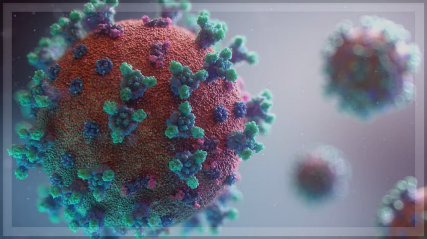 Goa on High Alert: Rising HMPV Cases Spark Fears of Another Pandemic 1 Goa on High Alert: Rising HMPV Cases Spark Fears of Another Pandemic