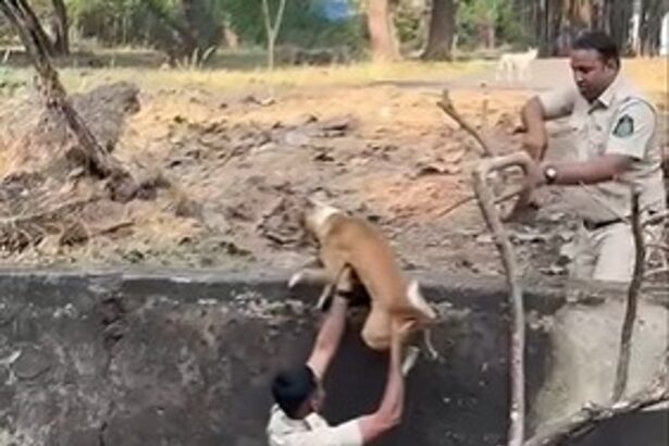 Goa police staff rescues dog fallen in an empty well at Margao