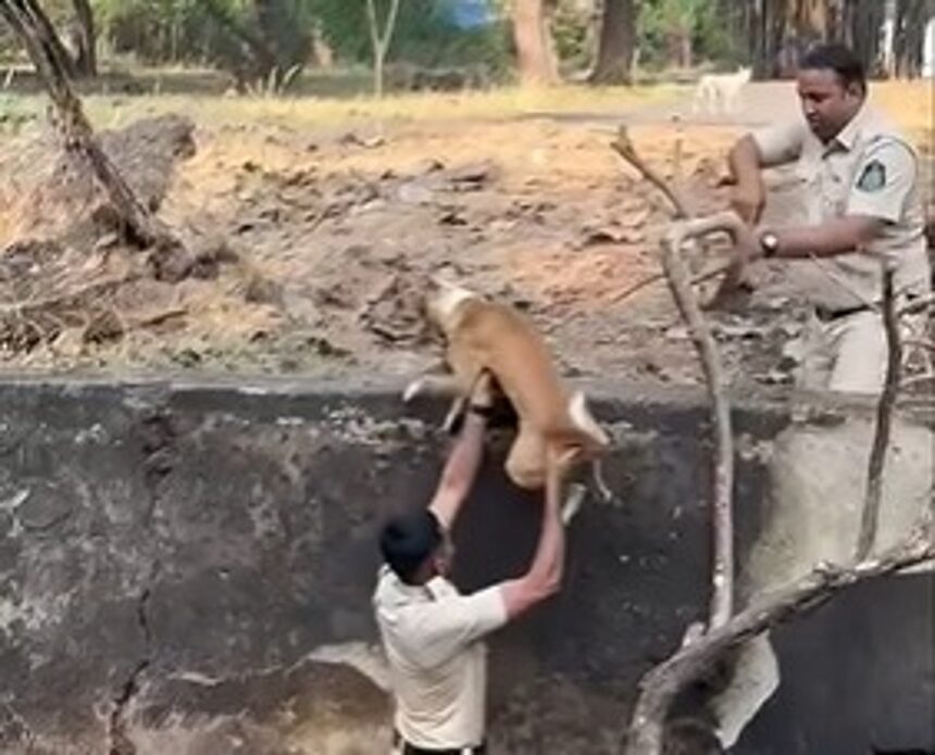 Goa police staff rescues dog fallen in an empty well at Margao