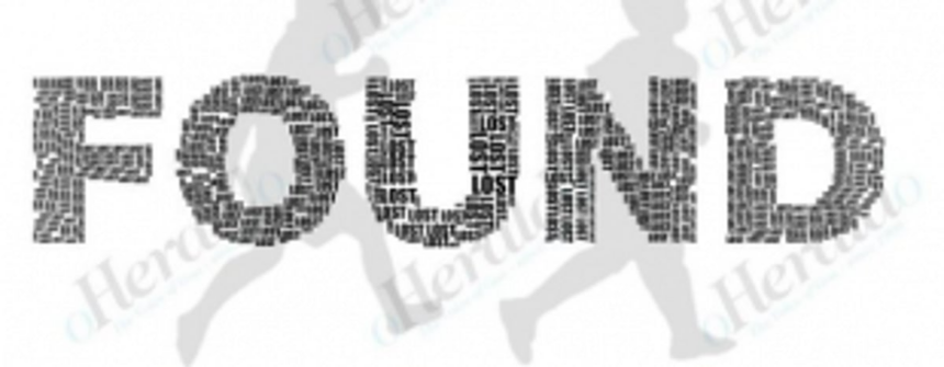 Goa police trace minor missing boys in Delhi, bring them home