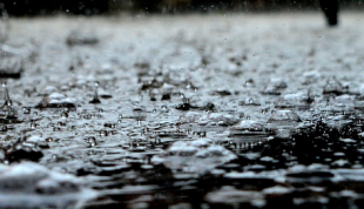 Goa receiving surplus rains: IMD