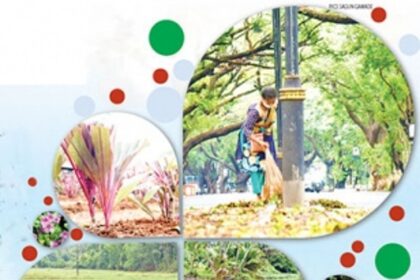 Goa recharges in lockdown:  How nature and our lifestyles are  sporting a healthier look