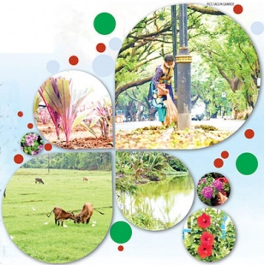 Goa recharges in lockdown: How nature and our lifestyles are sporting a healthier look