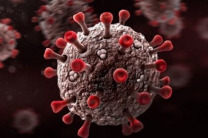 Goa records 8  COVID deaths   on second  consecutive day