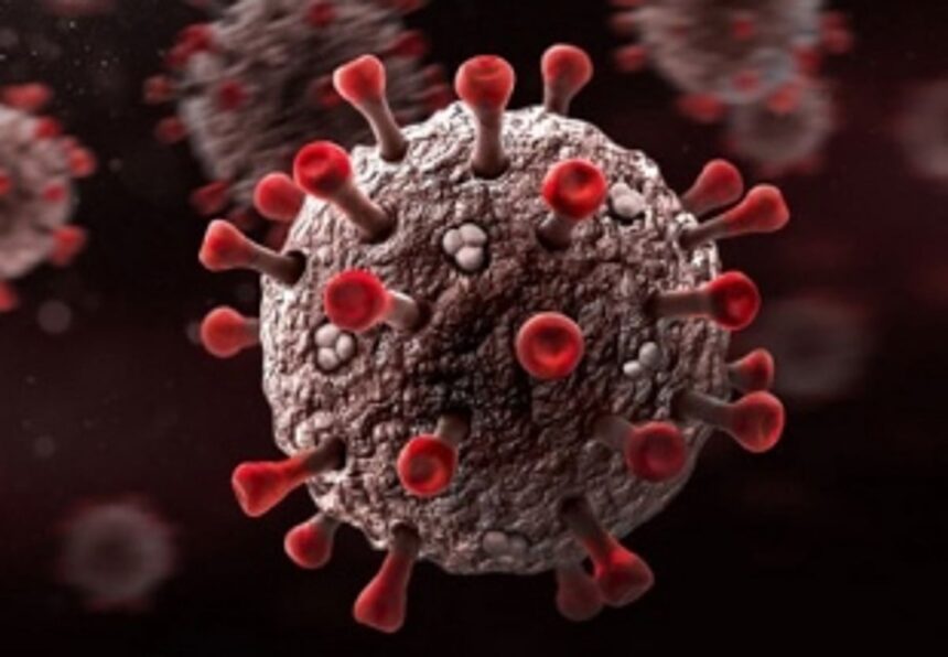 Goa records 8 COVID deaths on second consecutive day