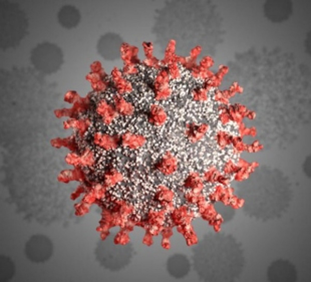 Goa records highest single-day COVID deaths