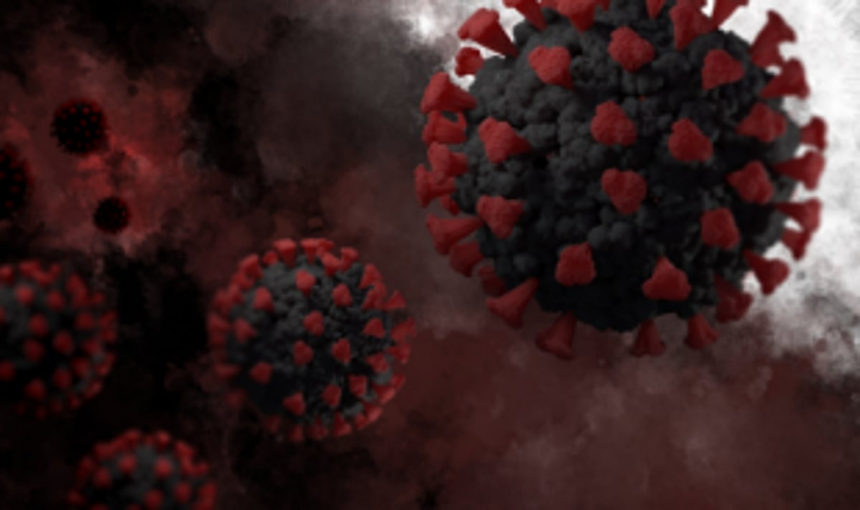 Goa records two more COVID deaths on Sunday