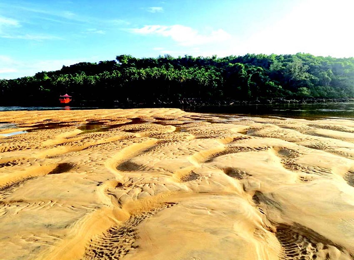 Goa ropes in Dutch experts to help combat coastal erosion