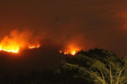 Goa sees sharp decline in field and wildland fires after Covid