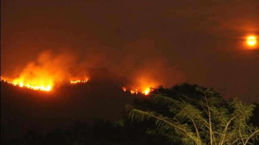 Goa sees sharp decline in field and wildland fires after Covid 1 Goa sees sharp decline in field and wildland fires after Covid