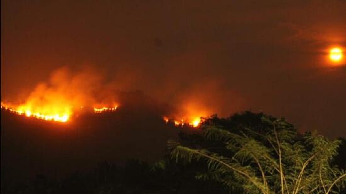 Goa sees sharp decline in field and wildland fires after Covid