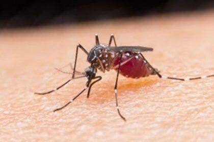 Goa set to be declared malaria free this year-end