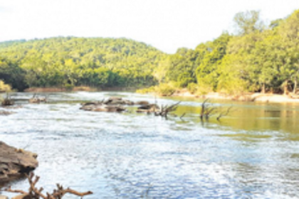 Goa should have used the Wildlife Protection Act to defend Mhadei: Kerkar