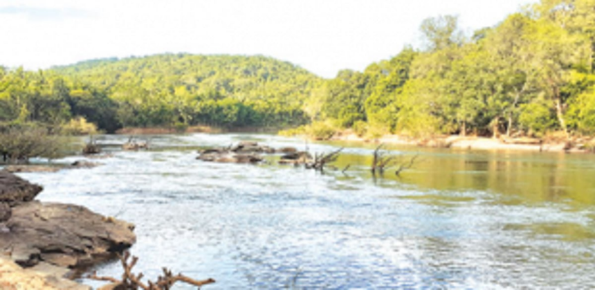 Goa should have used the Wildlife Protection Act to defend Mhadei: Kerkar