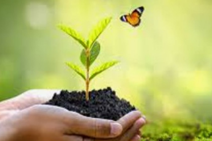 Goa to Launch CRZ Portal, Release Khazan & Mangrove Plan on World Environment Day