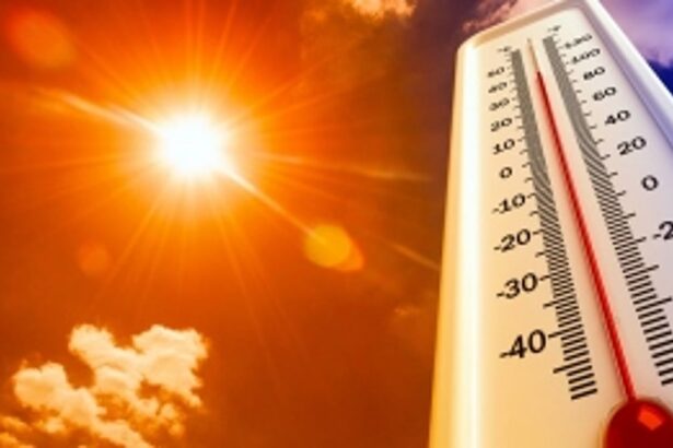 Goa to experience hot spells today & tomorrow