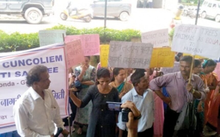 Goa will lose  another forest