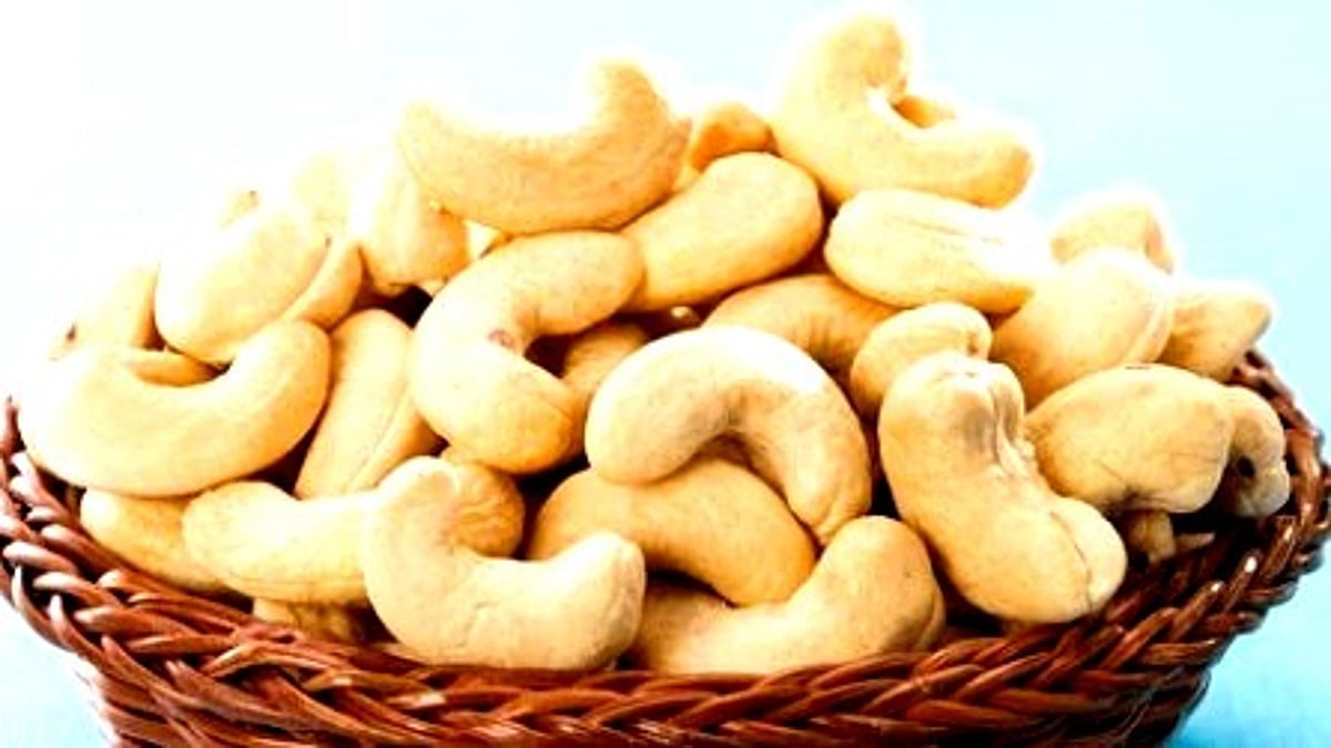 Goan Cashew to Receive GI Tag by Year-End, Says MLA – A Boost for Authentic Local Produce