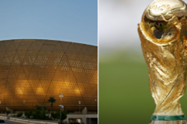 Goan fan finds his ticket to Brazil-Serbia game ‘fake’