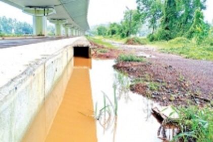 Goan farmers have flooded miseries in their fields of woes