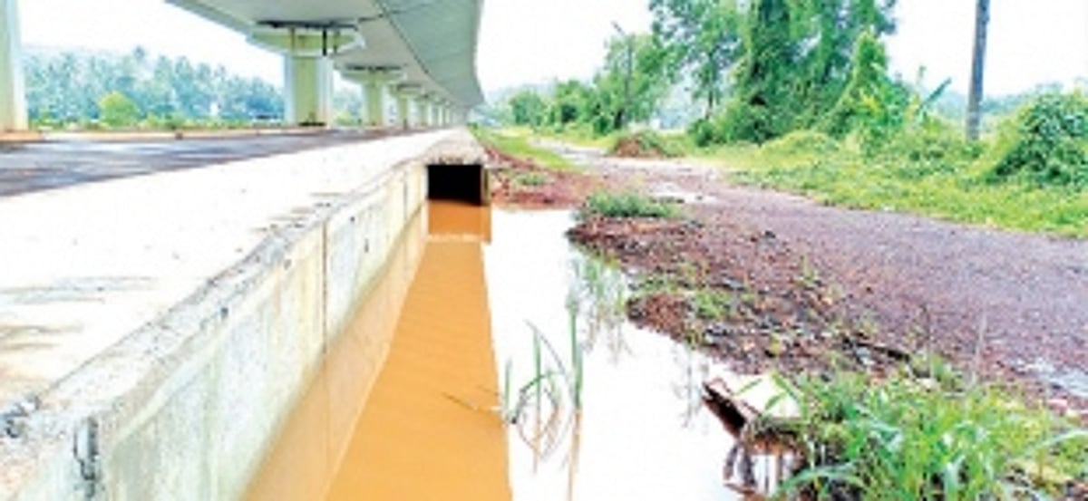 Goan farmers have flooded miseries in their fields of woes