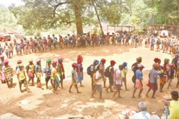 Goan youth not as enamoured by traditional Shigmo festival