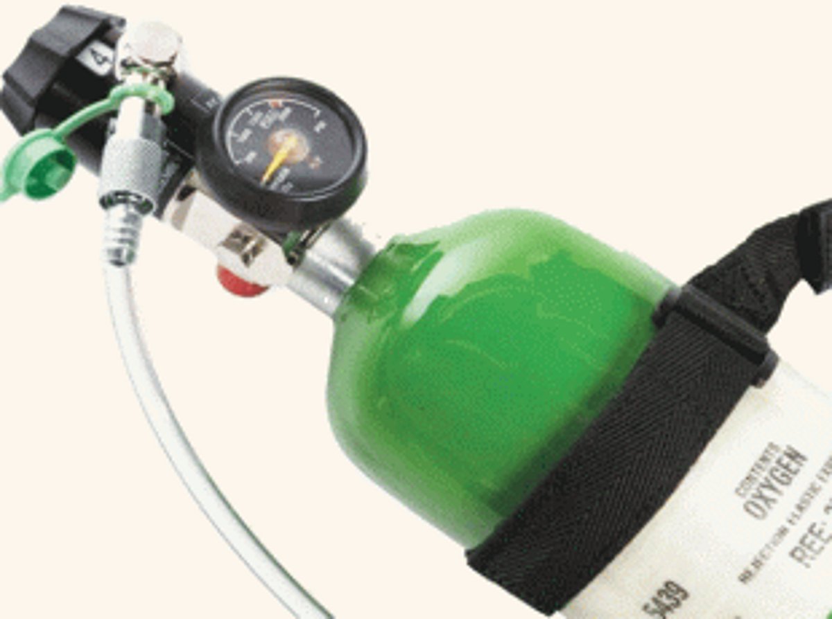 Goans have not forgotten their anger and hurt at losing loved ones to COVID mismanagement