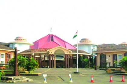 Goans in denial — the political merry-go-round goes on