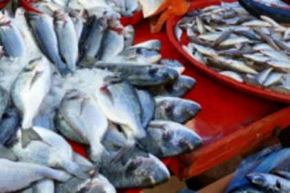 Goans struggling to get fish, but 12 trucks with seafood cross border