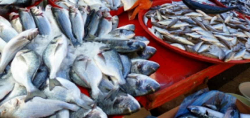 Goans struggling to get fish, but 12 trucks with seafood cross border