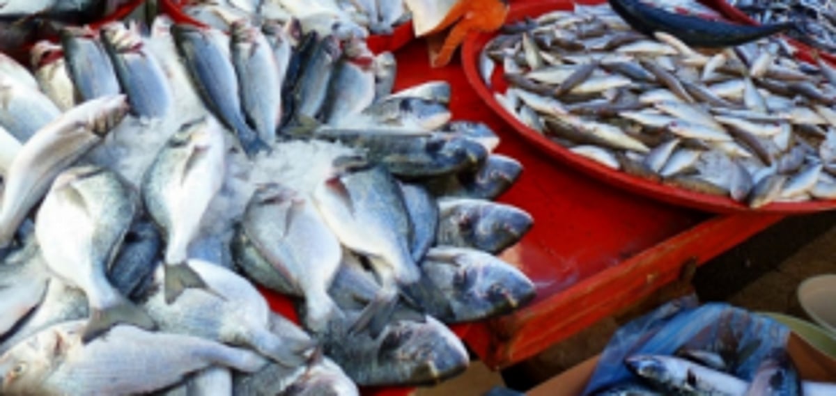 Goans struggling to get fish, but 12 trucks with seafood cross border